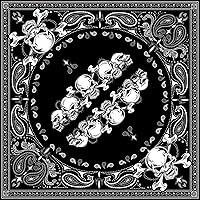 Algopix Similar Product 4 - Zanheadgear B140 Premium Bandanna 100