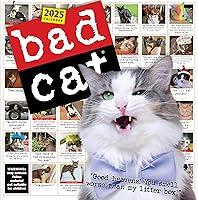 Algopix Similar Product 13 - Bad Cat Wall Calendar 2025 Celebrating