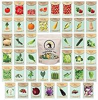 Algopix Similar Product 14 - Set of 43 Assorted Vegetable  Herb