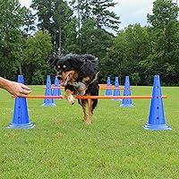 Algopix Similar Product 15 - Lord Anson Dog Agility Hurdle Cone Set