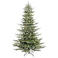 Algopix Similar Product 10 - Puleo International 75 Foot PreLit