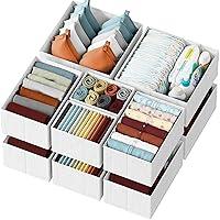 Algopix Similar Product 16 - Drawer Organizer Clothes Set of 12