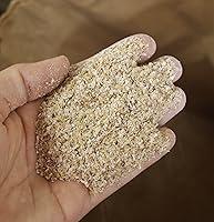 Algopix Similar Product 13 - Joshs Frogs Mealworm  Superworm