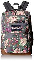 Algopix Similar Product 15 - JanSport Cool Student 15Inch Laptop