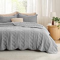 Algopix Similar Product 6 - Bedsure Twin Quilt Set  PreWashed