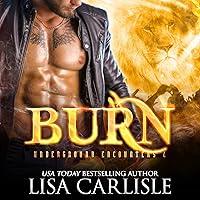 Algopix Similar Product 3 - Burn A Vampire versus Shifter