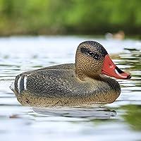 Algopix Similar Product 20 - Galashield Duck Decoys for Hunting 