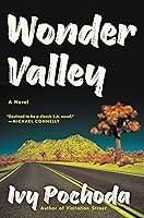 Algopix Similar Product 14 - Wonder Valley: A Novel