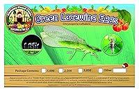 Algopix Similar Product 3 - Green Lacewing 2,500 Eggs - Good Bugs