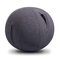 Algopix Similar Product 6 - Vivora Luno Exercise Ball Chair