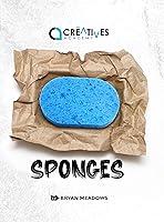 Algopix Similar Product 15 - Sponges