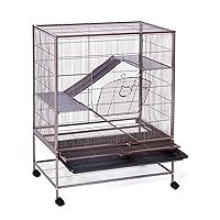 Algopix Similar Product 8 - Prevue Pet Products Rat Chinchilla