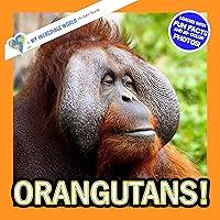 Algopix Similar Product 19 - Orangutans A My Incredible World