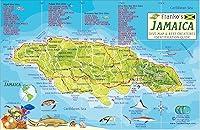 Algopix Similar Product 17 - Jamaica Dive Map  Coral Reef Creatures