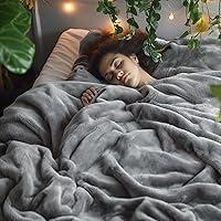 Algopix Similar Product 10 - Bedsure Fleece Bed Blankets Queen Size