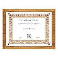 Algopix Similar Product 18 - NuDell 18812M AwardAPlaque Document
