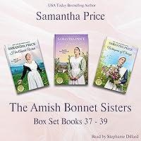 Algopix Similar Product 5 - Amish Bonnet Sisters Box Set Volume 13