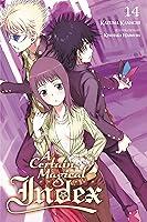 Algopix Similar Product 1 - A Certain Magical Index Vol 14 light