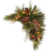 Algopix Similar Product 5 - National Tree 30 Inch Decorative
