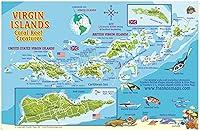 Algopix Similar Product 18 - Virgin Islands Map  Coral Reef