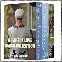 Algopix Similar Product 17 - A Perfect Love  Three Book Amish Book