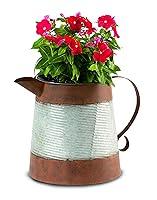 Algopix Similar Product 9 - Deer Park Ironworks CD115 Pitcher