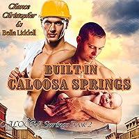 Algopix Similar Product 8 - Built in Caloosa Springs Caloosa