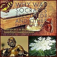 Algopix Similar Product 16 - Why Was Socrates Executed And Other