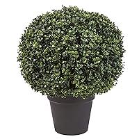 Algopix Similar Product 13 - Artificial Boxwood Plant  21Inch