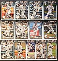 Algopix Similar Product 4 - 2024 Series 1  2 Team Set Topps 24