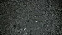 Algopix Similar Product 1 - 2 Kydex Plastic Sheet Black 12 X 12 X