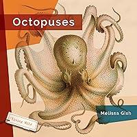 Algopix Similar Product 3 - Octopuses