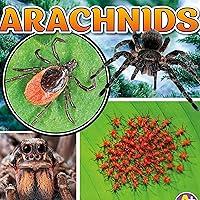 Algopix Similar Product 10 - Arachnids