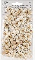 Algopix Similar Product 13 - Prima Marketing Pretty Pale Paper