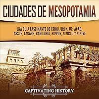 Algopix Similar Product 20 - Ciudades de Mesopotamia Cities of