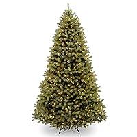 Algopix Similar Product 12 - National Tree Company PreLit Feel