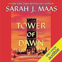 Algopix Similar Product 13 - Tower of Dawn