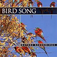 Algopix Similar Product 13 - Bird Song: Nature Recordings