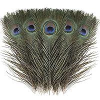 Algopix Similar Product 3 - Larryhot Natural Peacock Feathers Bulk