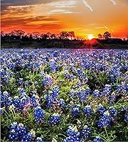 Algopix Similar Product 2 - Texas Wildflower Jigsaw Puzzle  A