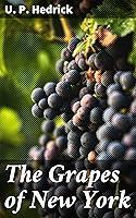 Algopix Similar Product 17 - The Grapes of New York