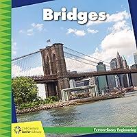 Algopix Similar Product 19 - Bridges