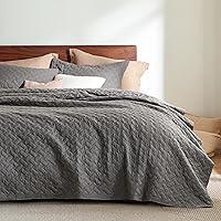 Algopix Similar Product 2 - Bedsure Queen Quilt Bedding Set 