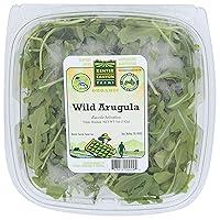 Algopix Similar Product 15 - KENTER CANYON Organic Wild Arugula, 5 OZ
