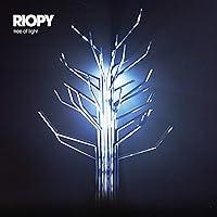 Algopix Similar Product 19 - Summer Night