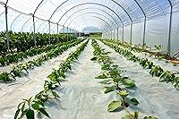 Algopix Similar Product 12 - SUNSCOVER Greenhouse Plastic Film Clear
