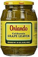 Algopix Similar Product 6 - Orlando California Grapes Leaves 16