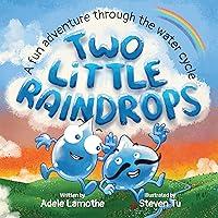 Algopix Similar Product 6 - Two Little Raindrops An exciting story