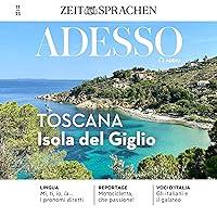 Algopix Similar Product 20 - Adesso Audio 1123  Toscana Lisola