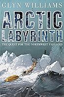 Algopix Similar Product 15 - Arctic Labyrinth The Quest for the